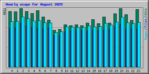 Hourly usage for August 2025