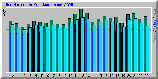 Hourly usage for September 2025