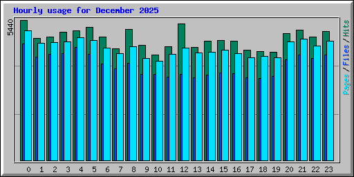 Hourly usage for December 2025