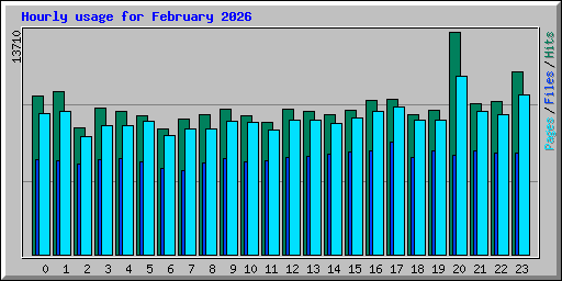 Hourly usage for February 2026